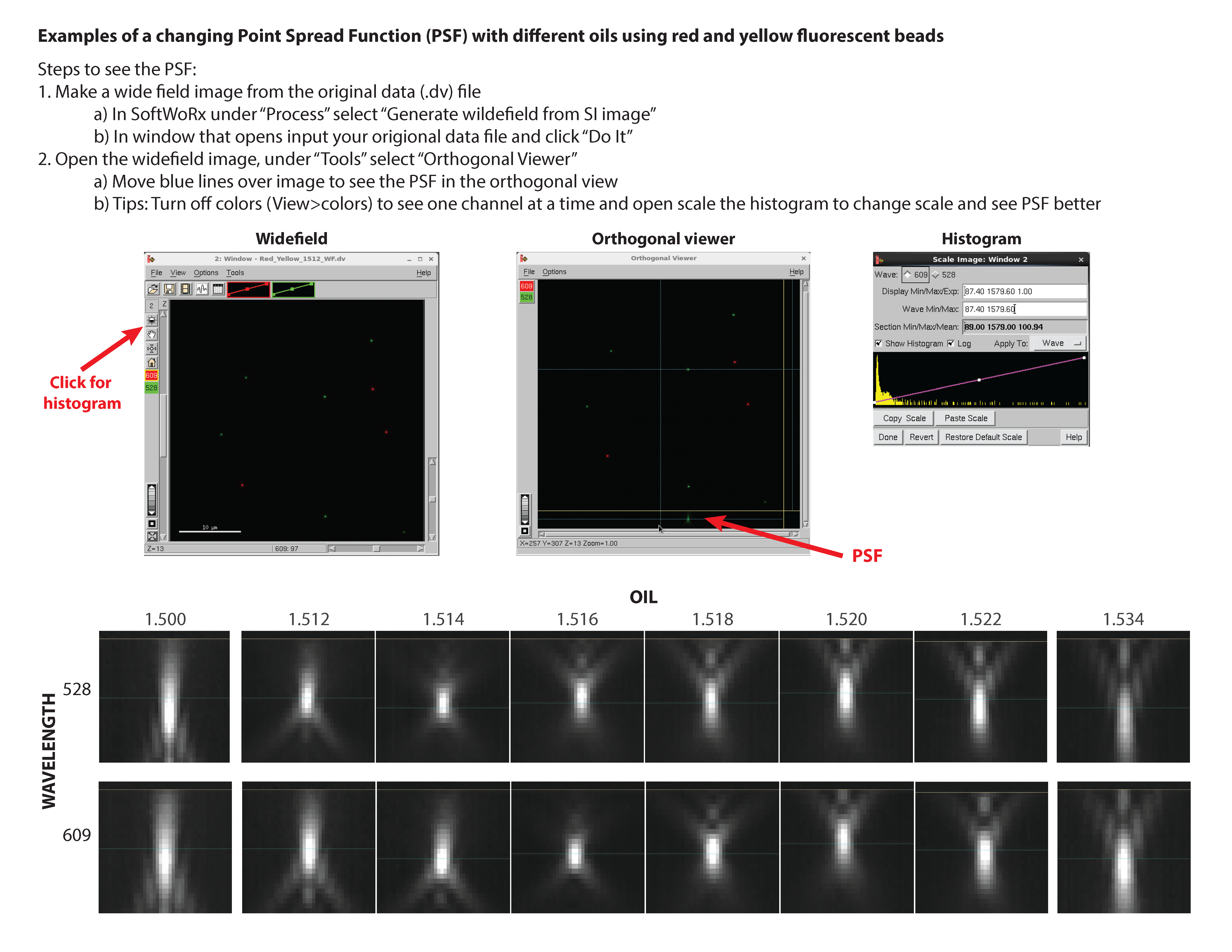 OMX_PSF_oil_test_with_beads