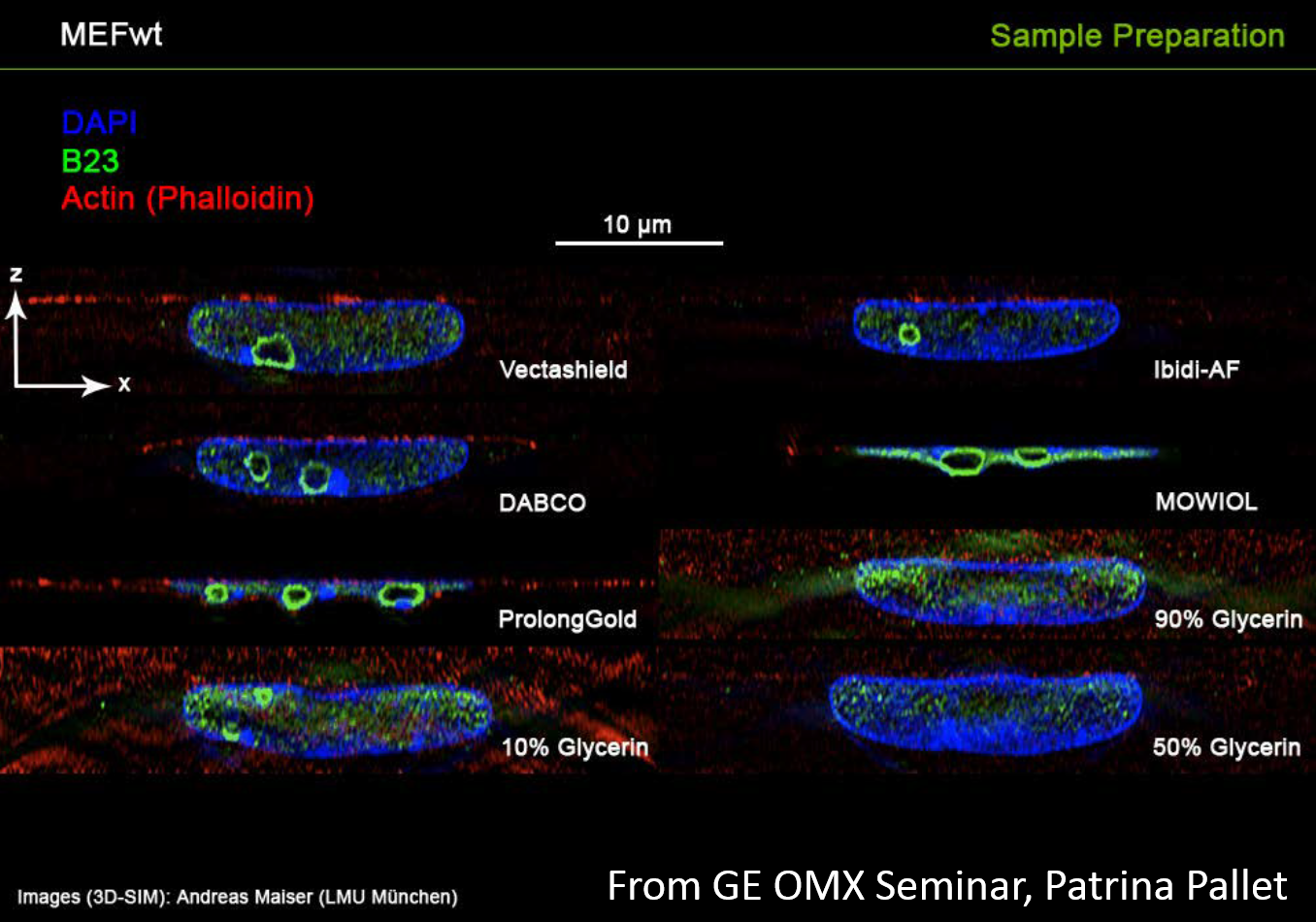 mountingmedia-effect-on-sample